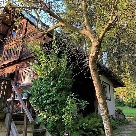 Domek alpejski Reserl By Interhome Lichtpold