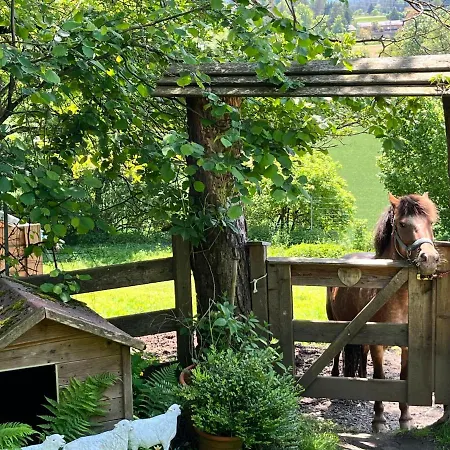 Dağ evi Reserl By Interhome *